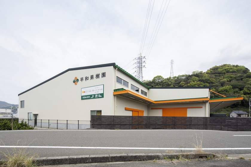 早和みかん選果場