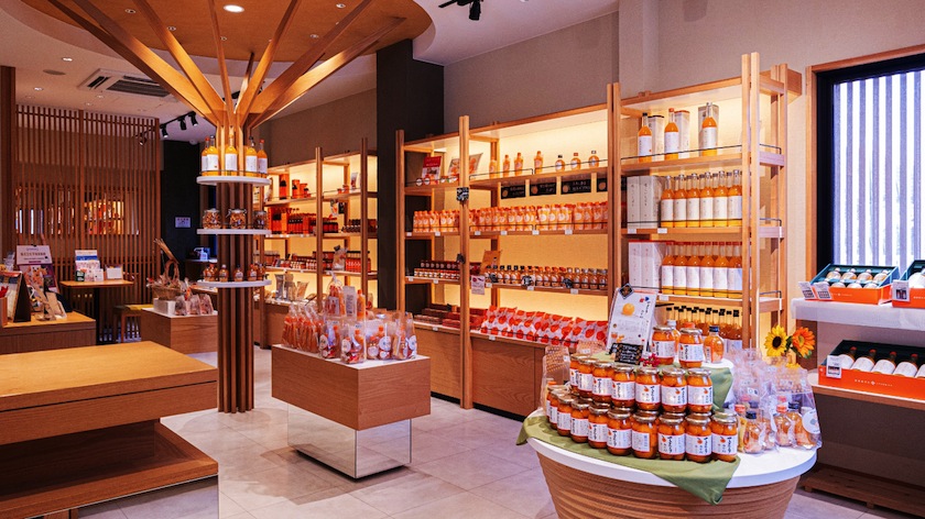 �L�c�s���a�ʎ���